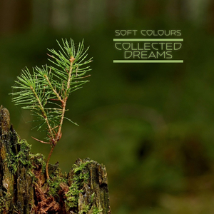 七十路の高齢熟女千代子泳装写真
